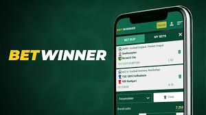 Explore BetWinner Your Premier Online Gambling Destination