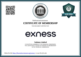 Ultimate Guide to Exness Metatrader 4 Setup 18